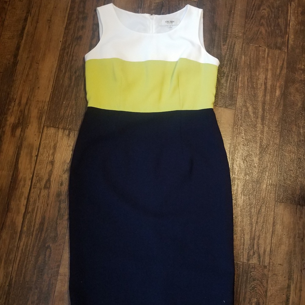 Jones Studio Dress